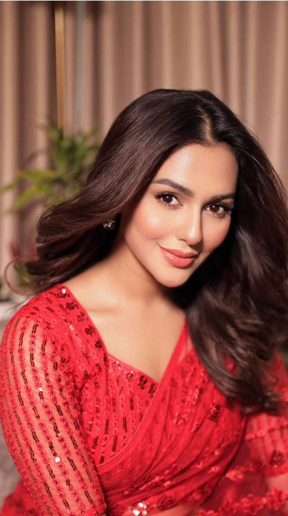 Red Net Saree