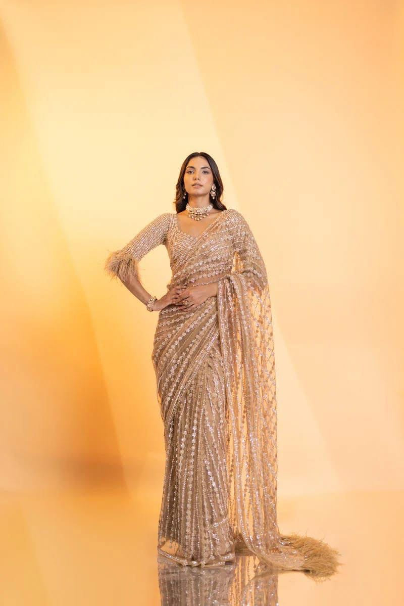 Golden Net Saree