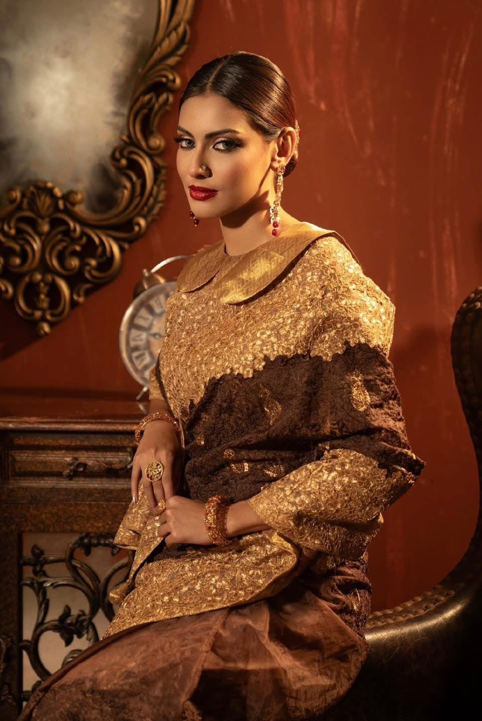 Brown Tussar saree