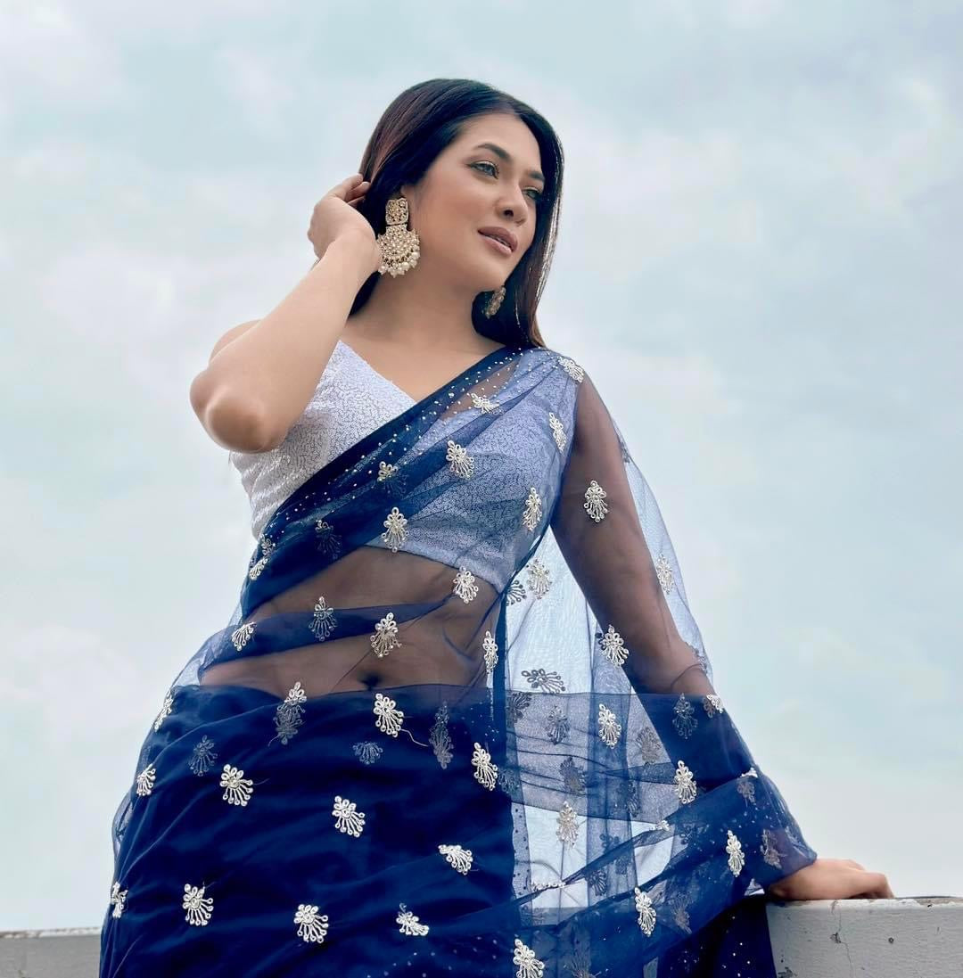 Navy Blue net saree