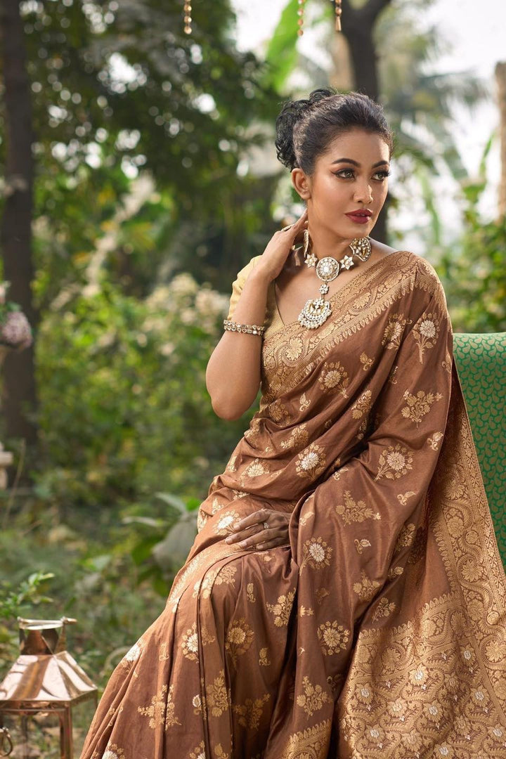 Vintage Brown Saree