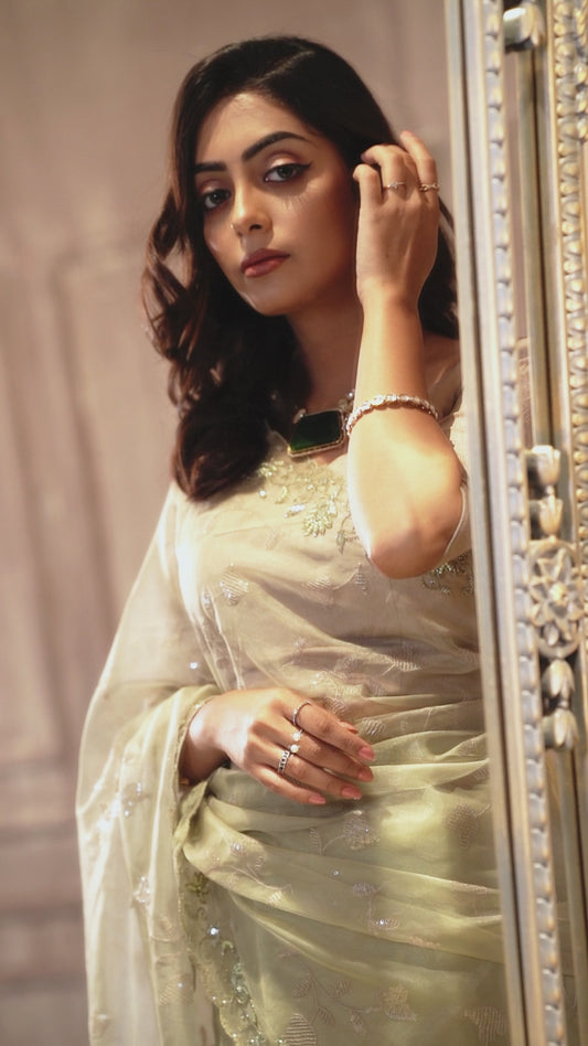 Pastel Green Designer Saree